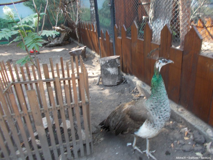 "Роев ручей" — Игровые куклы разных производителей (Разное): редкие бренды