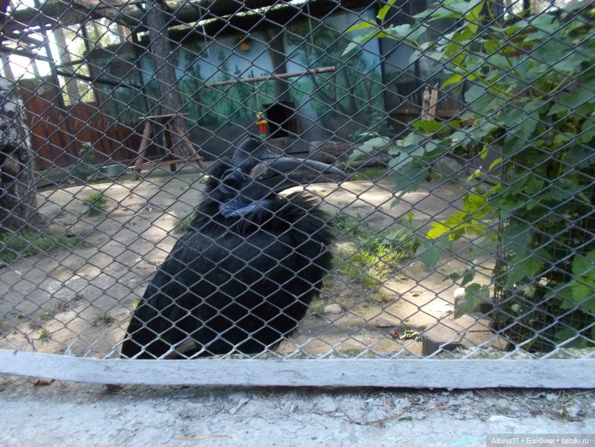 "Роев ручей" — Игровые куклы разных производителей (Разное): редкие бренды