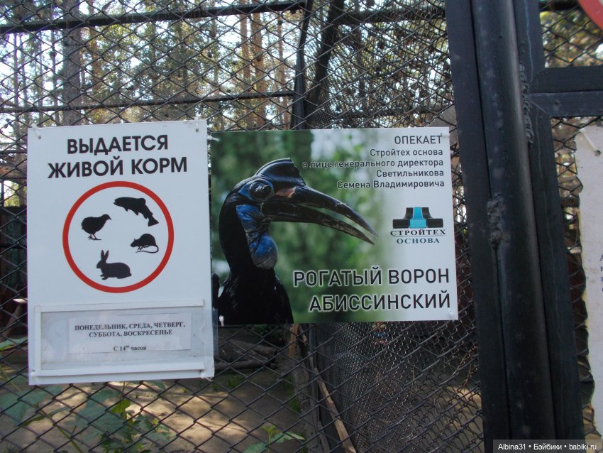 "Роев ручей" — Игровые куклы разных производителей (Разное): редкие бренды