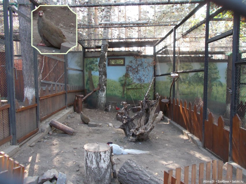 "Роев ручей" — Игровые куклы разных производителей (Разное): редкие бренды