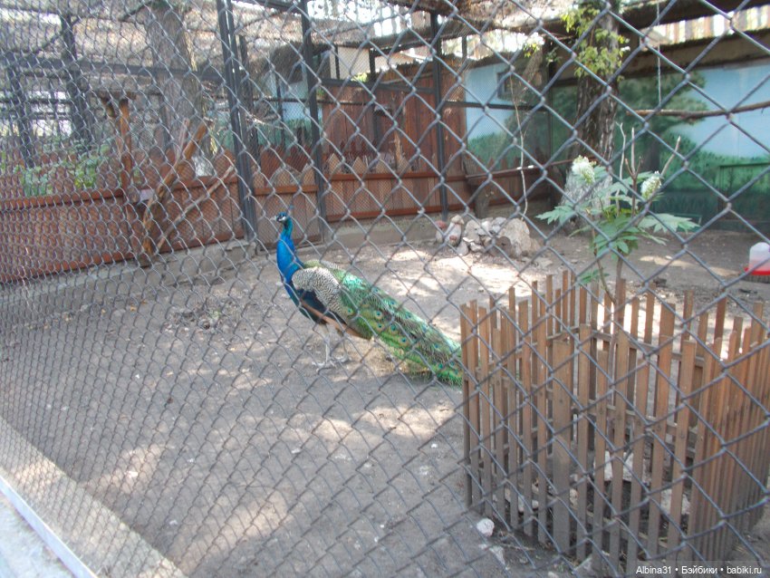 "Роев ручей" — Игровые куклы разных производителей (Разное): редкие бренды