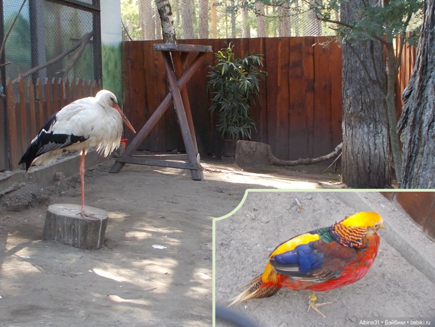 "Роев ручей" — Игровые куклы разных производителей (Разное): редкие бренды