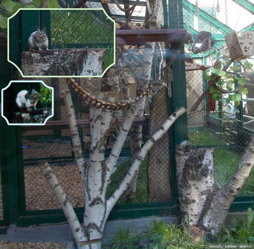 "Роев ручей" — Игровые куклы разных производителей (Разное): редкие бренды