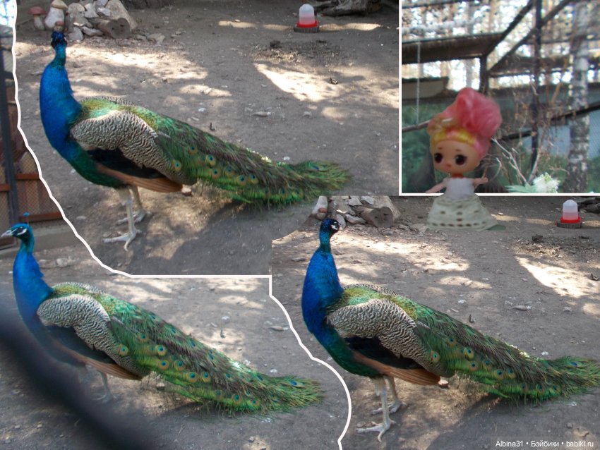 "Роев ручей" — Игровые куклы разных производителей (Разное): редкие бренды