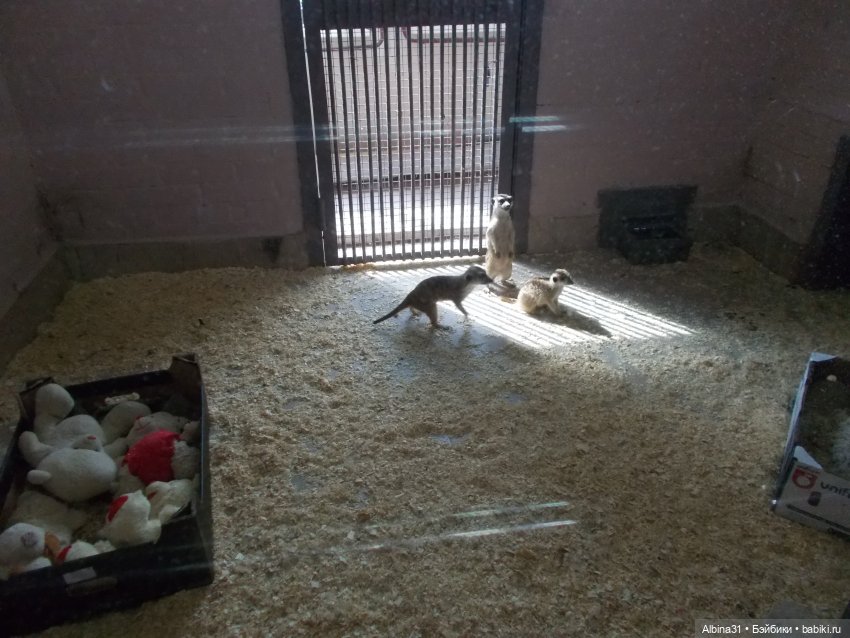 "Роев ручей" — Игровые куклы разных производителей (Разное): редкие бренды