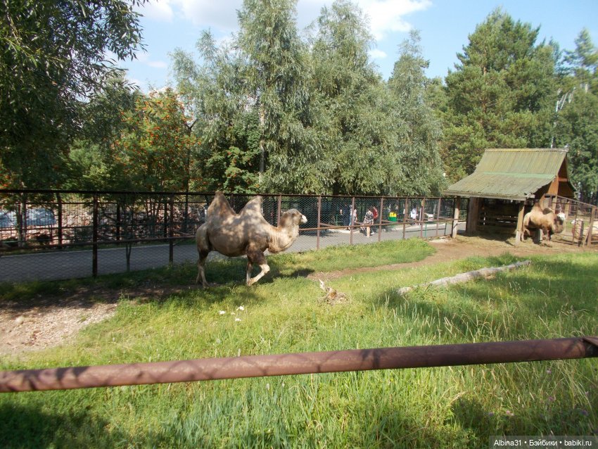 "Роев ручей" — Игровые куклы разных производителей (Разное): редкие бренды