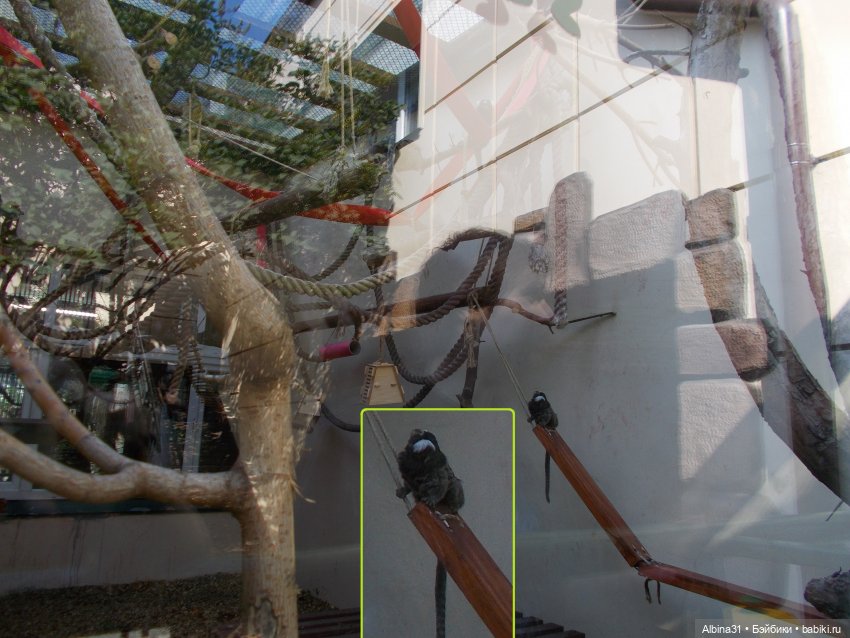 "Роев ручей" — Игровые куклы разных производителей (Разное): редкие бренды