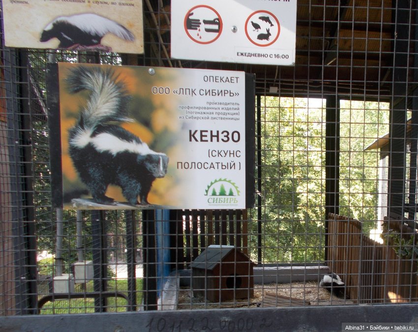 "Роев ручей" — Игровые куклы разных производителей (Разное): редкие бренды