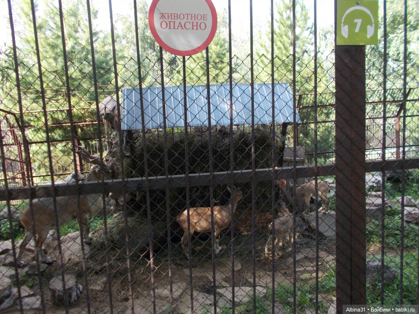 "Роев ручей" — Игровые куклы разных производителей (Разное): редкие бренды