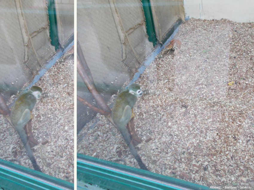 "Роев ручей" — Игровые куклы разных производителей (Разное): редкие бренды