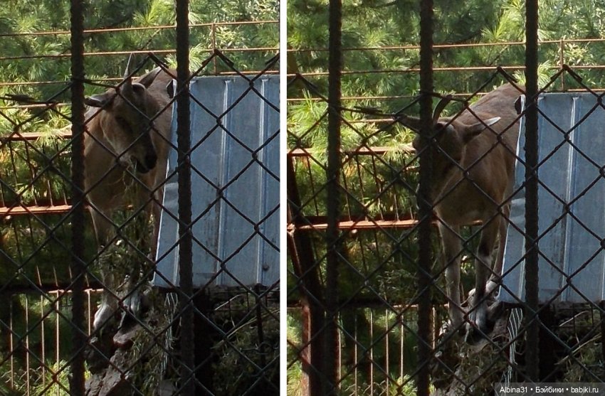 "Роев ручей" — Игровые куклы разных производителей (Разное): редкие бренды