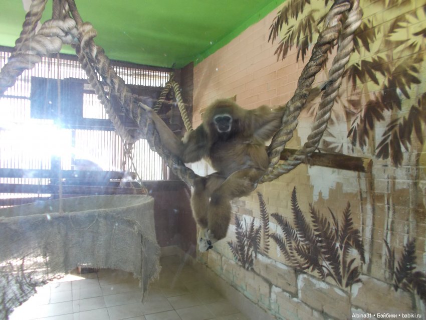 "Роев ручей" — Игровые куклы разных производителей (Разное): редкие бренды