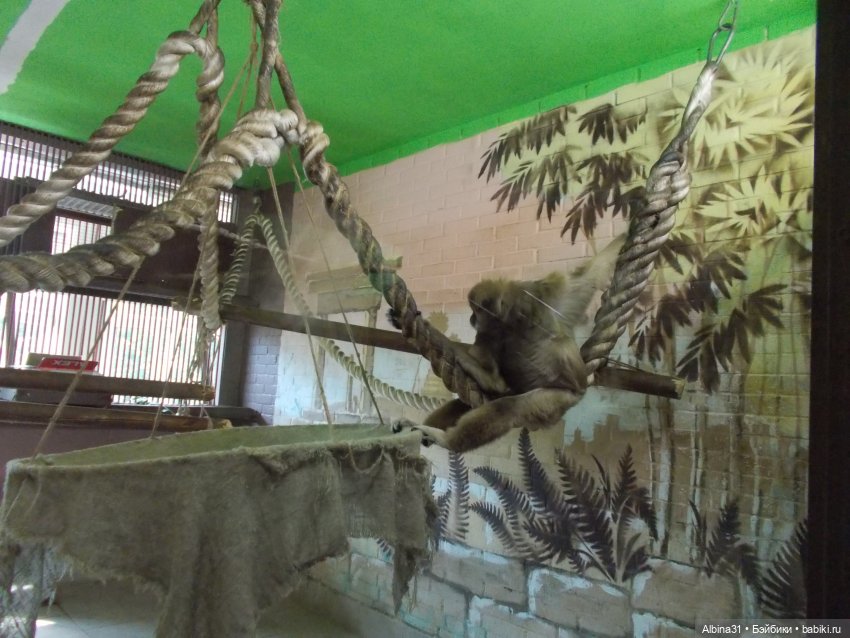 "Роев ручей" — Игровые куклы разных производителей (Разное): редкие бренды