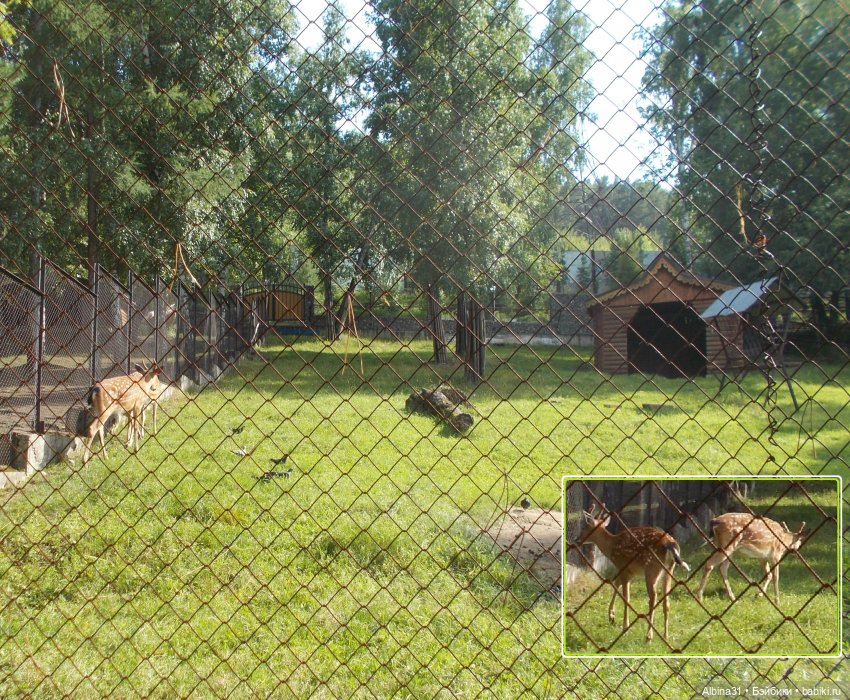 "Роев ручей" — Игровые куклы разных производителей (Разное): редкие бренды