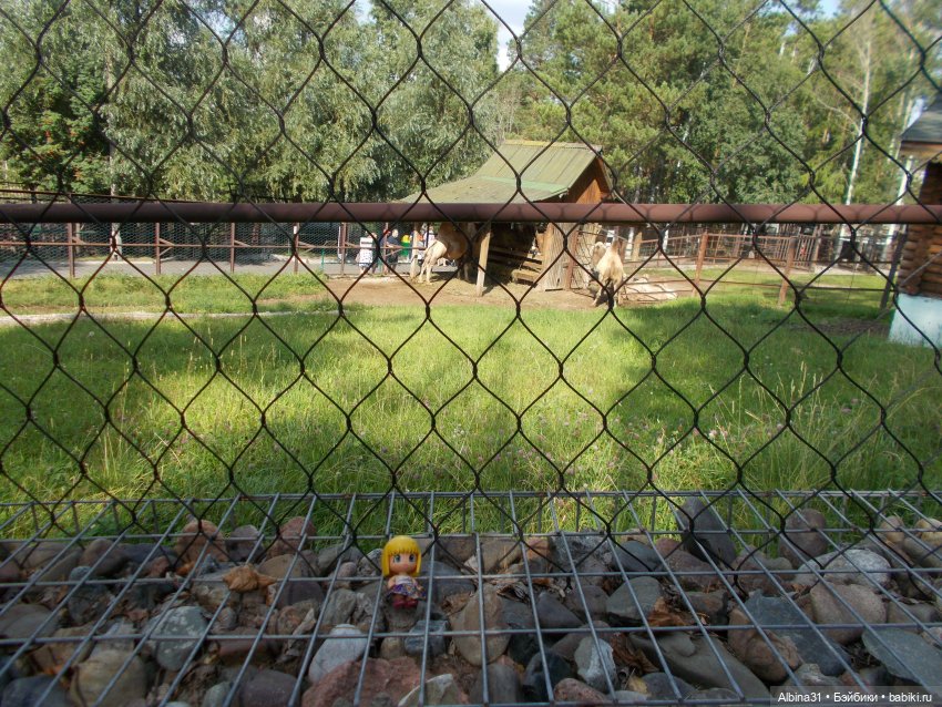 "Роев ручей" — Игровые куклы разных производителей (Разное): редкие бренды