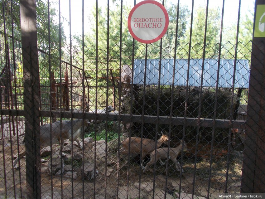 "Роев ручей" — Игровые куклы разных производителей (Разное): редкие бренды