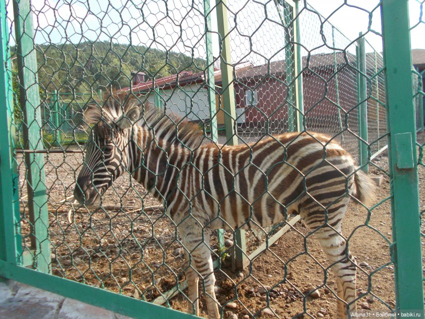 "Роев ручей" — Игровые куклы разных производителей (Разное): редкие бренды