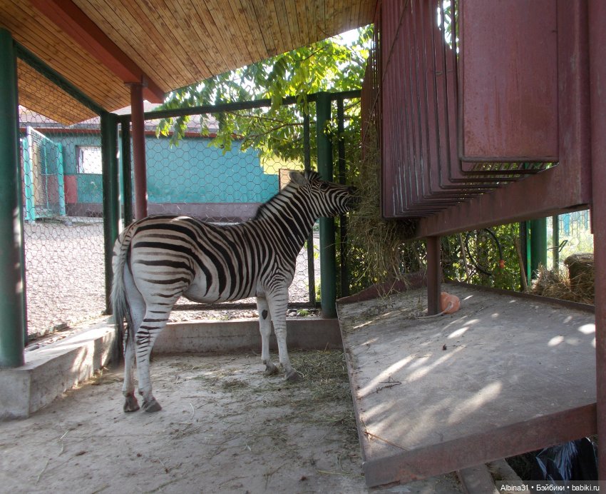 "Роев ручей" — Игровые куклы разных производителей (Разное): редкие бренды