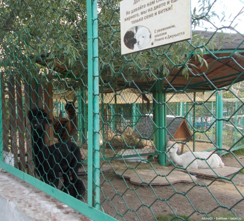 "Роев ручей" — Игровые куклы разных производителей (Разное): редкие бренды