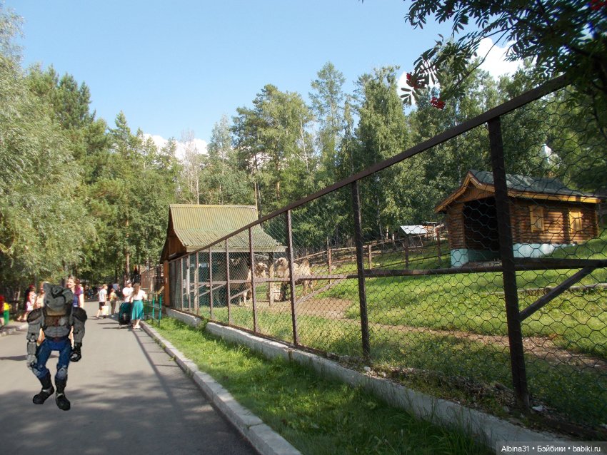 "Роев ручей" — Игровые куклы разных производителей (Разное): редкие бренды