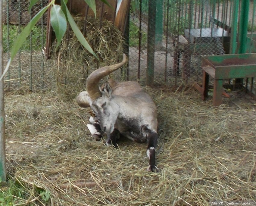 "Роев ручей" — Игровые куклы разных производителей (Разное): редкие бренды