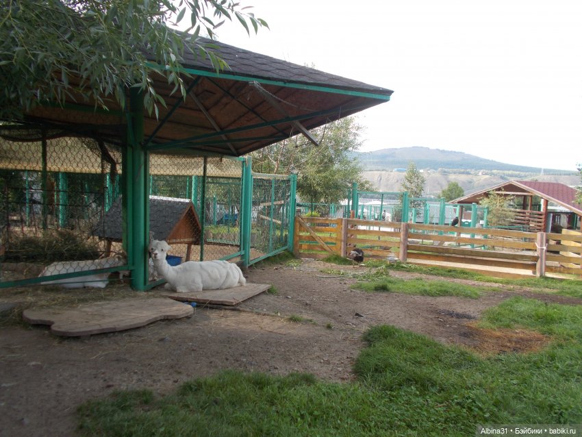 "Роев ручей" — Игровые куклы разных производителей (Разное): редкие бренды