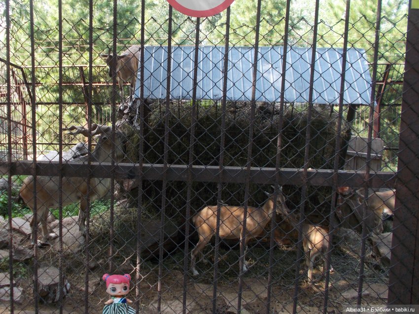 "Роев ручей" — Игровые куклы разных производителей (Разное): редкие бренды