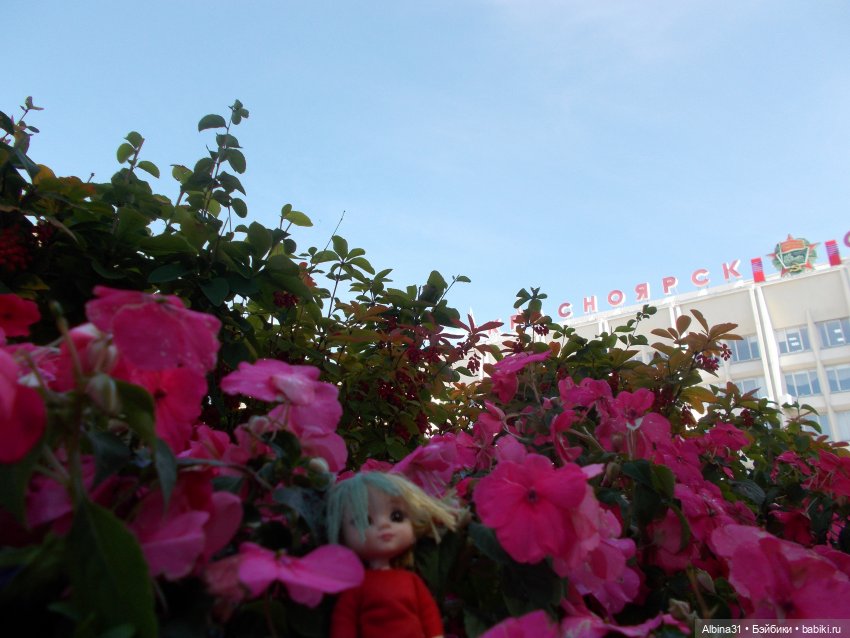 Городские зарисовки. Лето 2022