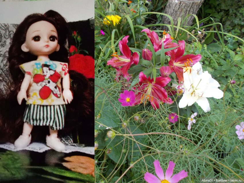 Цветы и куклы... 3 — Игровые куклы разных производителей (Разное): редкие бренды