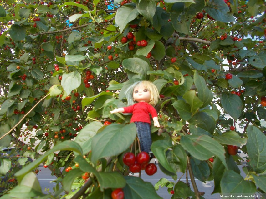 Городские зарисовки. Лето 2022