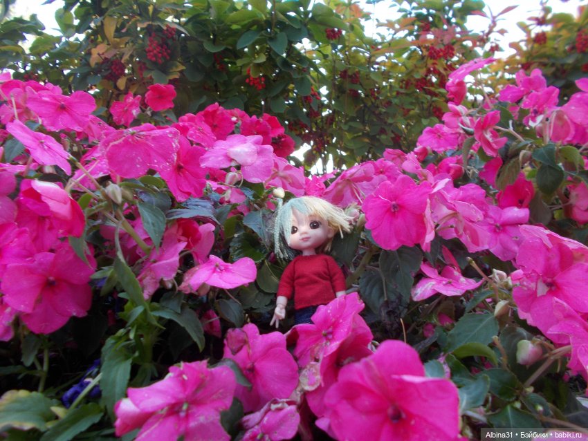 Цветы и куклы... 3 — Игровые куклы разных производителей (Разное): редкие бренды