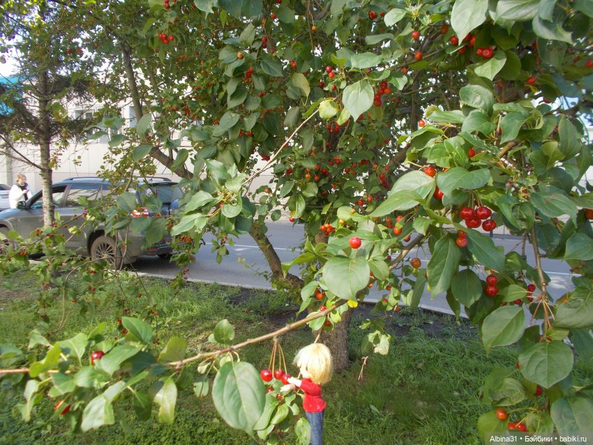 Городские зарисовки. Лето 2022