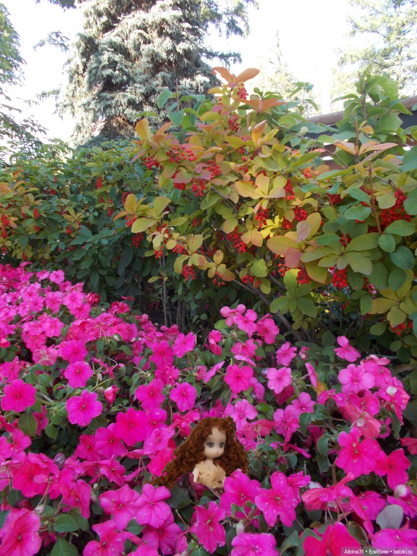 Городские зарисовки. Лето 2022