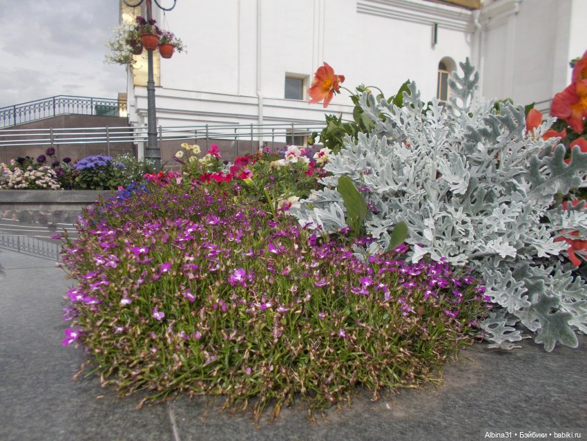 Цветы и куклы... 3 — Игровые куклы разных производителей (Разное): редкие бренды