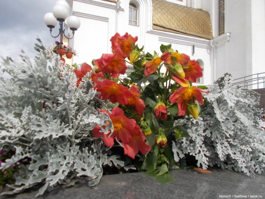 Цветы и куклы... 3 — Игровые куклы разных производителей (Разное): редкие бренды