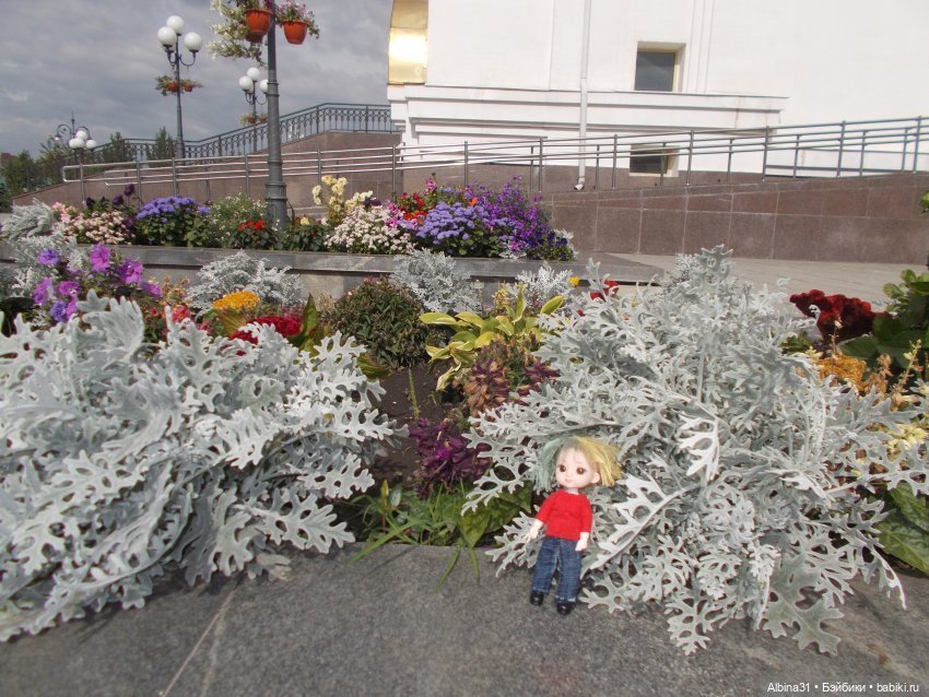 Цветы и куклы... 3 — Игровые куклы разных производителей (Разное): редкие бренды