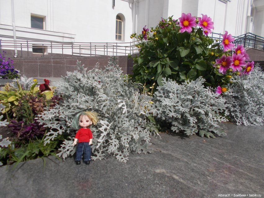 Цветы и куклы... 3 — Игровые куклы разных производителей (Разное): редкие бренды