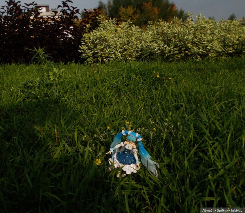 Моя любовь Мику (9) — Аниме куклы (MJD/Винил): Imomo (фото 8)