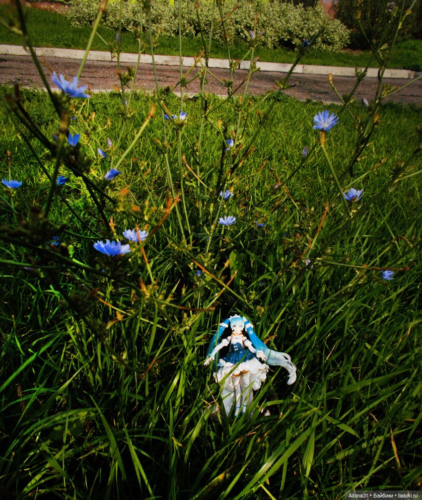 Моя любовь Мику (9) — Аниме куклы (MJD/Винил): Imomo (фото 6)