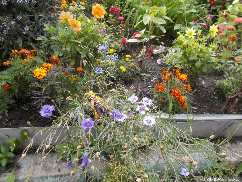 Фигурки по аниме «Клинок, рассекающий демонов» Часть вторая (фото 2)