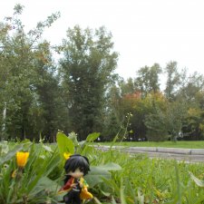 Городские зарисовки.  Осень 2022  год