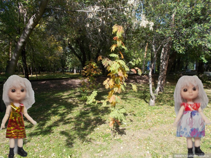 Городские зарисовки. Осень 2022 год