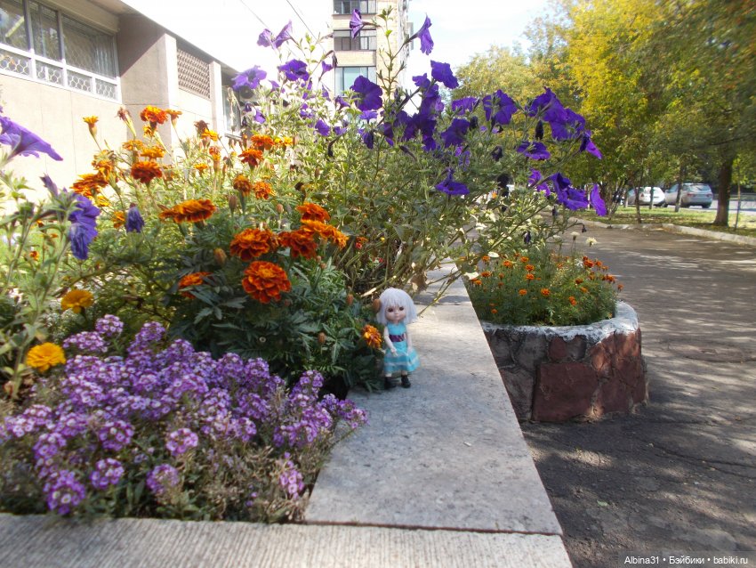 Цветы и куклы... 4 — Игровые куклы разных производителей (Разное): редкие бренды (фото 3)