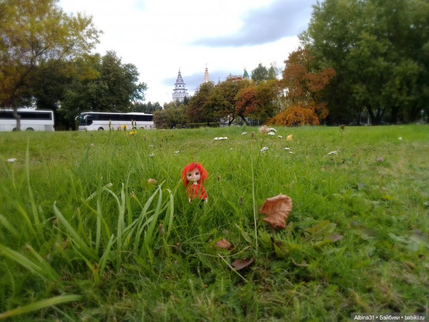 Измайлово — Игровые куклы разных производителей (Разное): редкие бренды (фото 6)