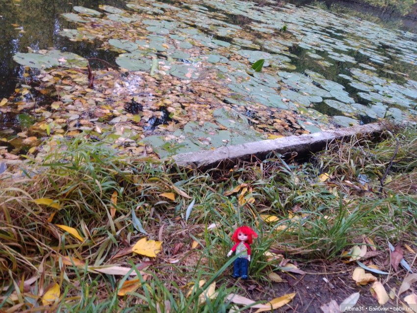 Измайлова, продолжение — Игровые куклы разных производителей (Разное): редкие бренды