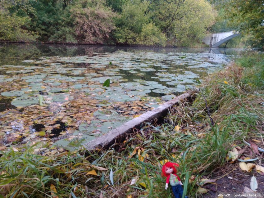 Измайлова, продолжение — Игровые куклы разных производителей (Разное): редкие бренды