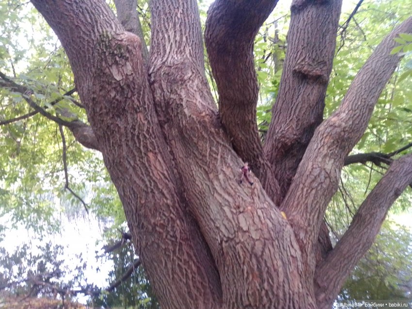 Измайлова, продолжение — Игровые куклы разных производителей (Разное): редкие бренды