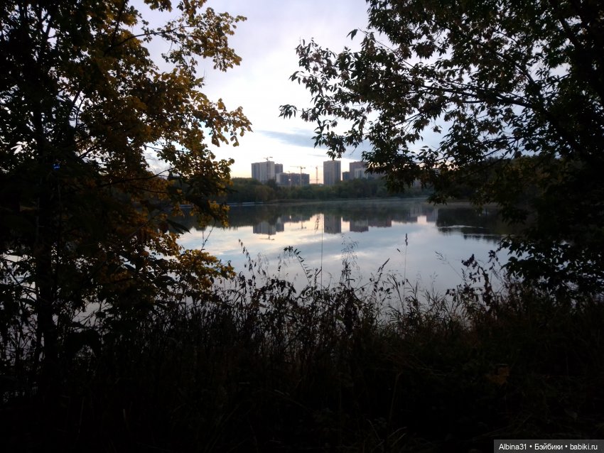 Измайлова, продолжение — Игровые куклы разных производителей (Разное): редкие бренды