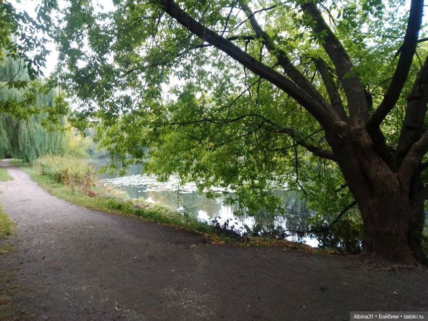 Измайлова, продолжение — Игровые куклы разных производителей (Разное): редкие бренды