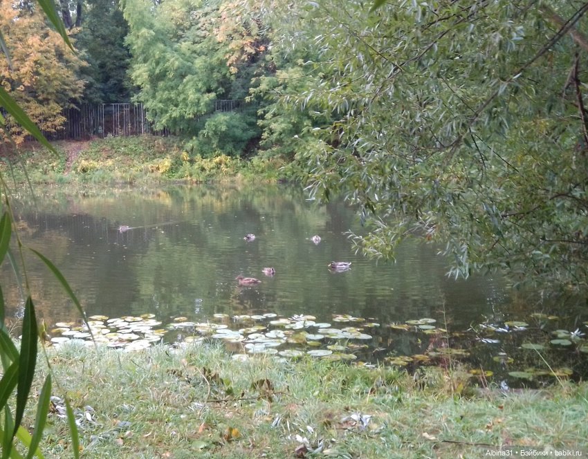 Прогулка по Измайловскому островку